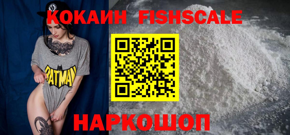 COCAIN Fish Scale  Вход с VPN  COCAIN  Жуковский 