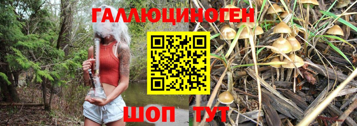 Галлюциногенные грибы GOLDEN TEACHER  Вход с VPN  Жуковский 